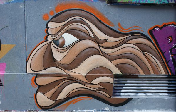 6325 rue des Pyrénées 14 novembre 2011