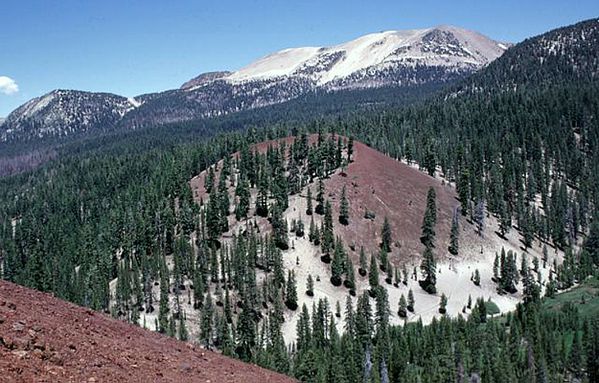 Mammoth-Mountain---Red-cones--Lee-Siebert-.jpg