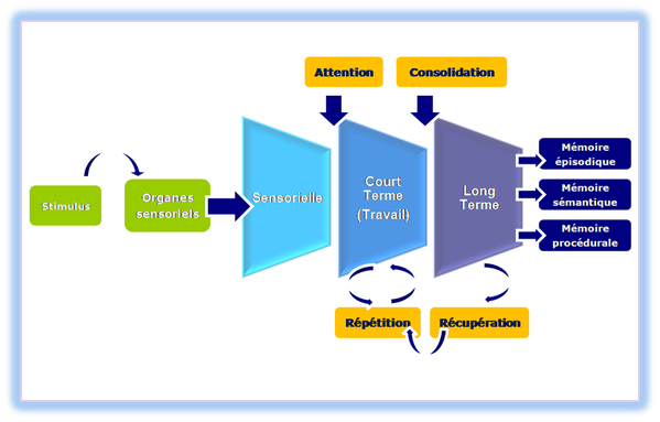 Schema-memoires-signos-2-copie-1.png