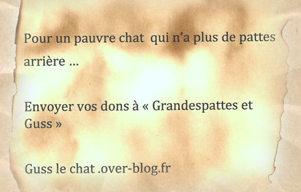 003 copie