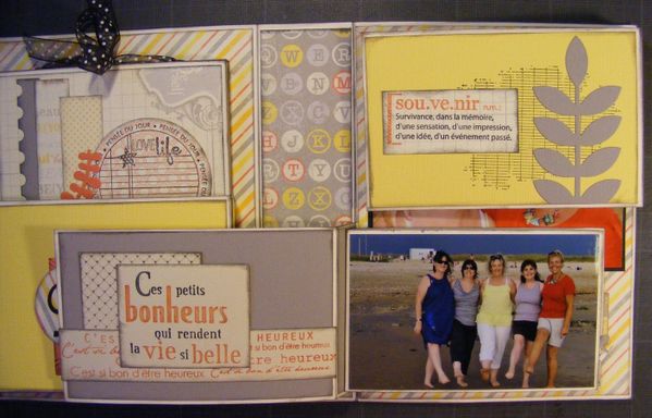 DSCF6390--Copier-.JPG