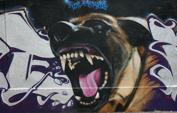 5866 rue des pyrenees 17 octobre 2011