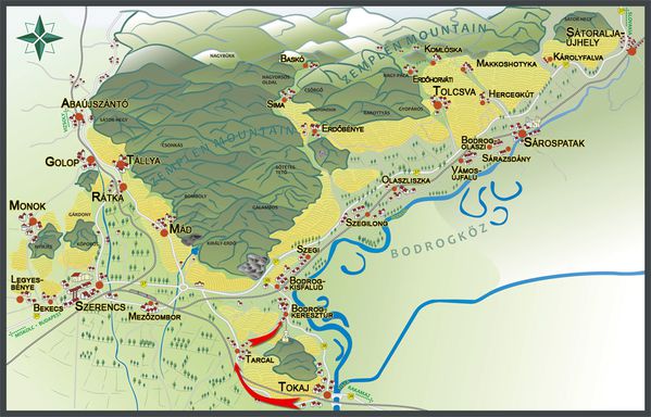 furmint---Tokaj.jpg