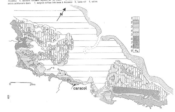Lebigre these fig.192 caracol