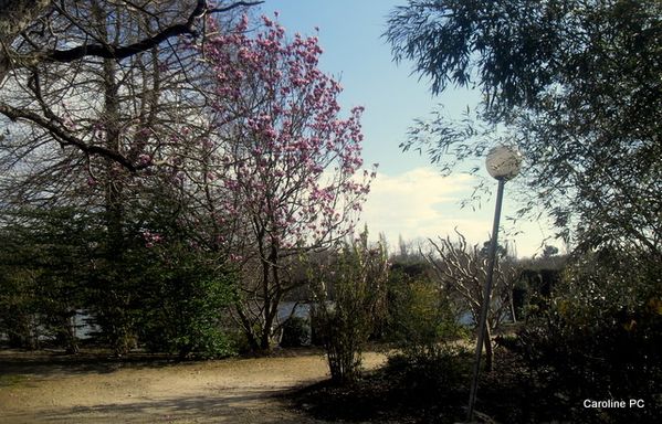 lac-073.jpg