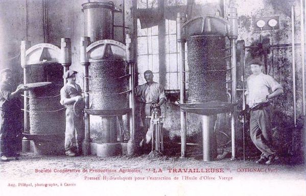 coope-Cotignac-presses-hydrauliques.jpg