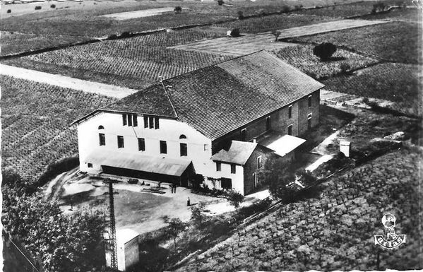 coope-Pomerols-000.jpg
