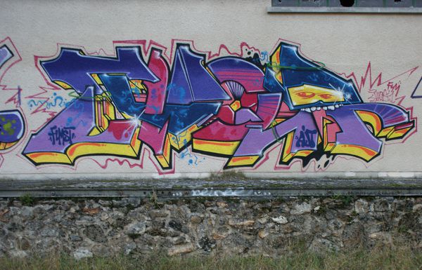 435 friche St Cyr l'Ecole 78210