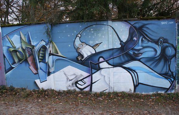 687 murs Draveil 91210