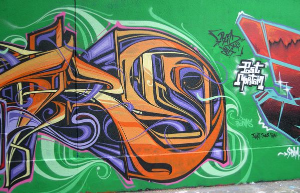 1186 graffitis rue des pyrenees 06 aout 2010