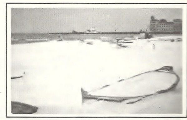 9-copie-1.jpg