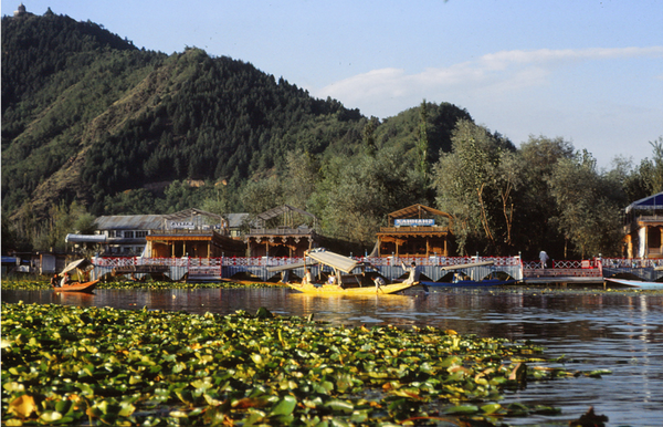 Srinagar