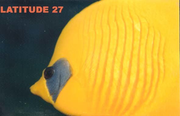 2046 poisson papillon citron