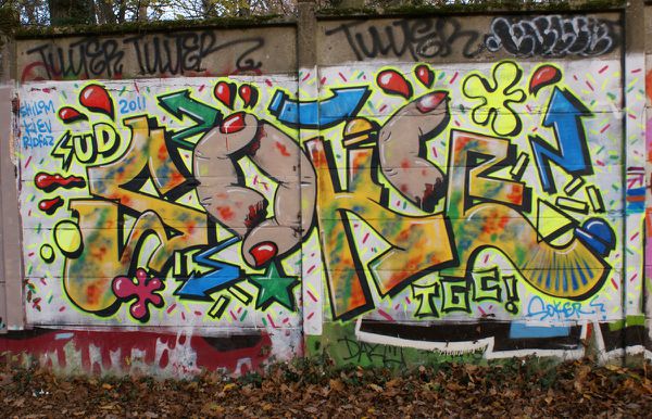 712 murs Draveil 91210