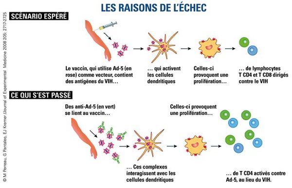 vaccin-vih-echec.jpg