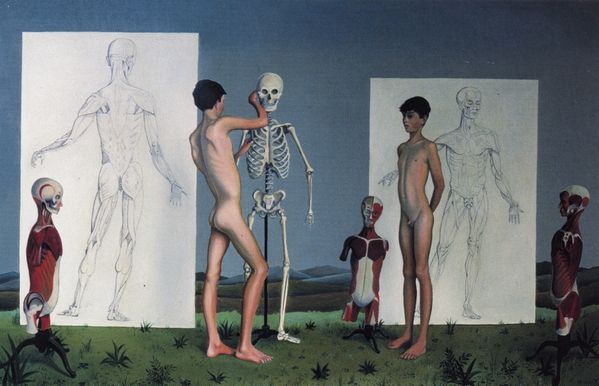 30019013Dxs.jpg
