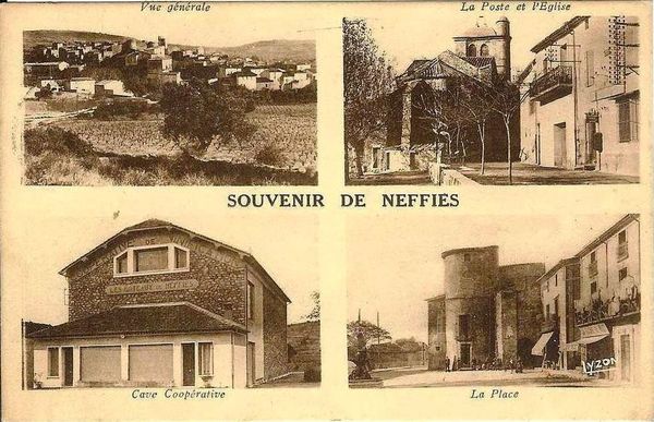 coope-Neffies-0.jpg