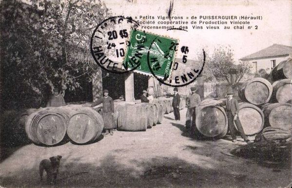 coope-Puisserguier-0.jpg