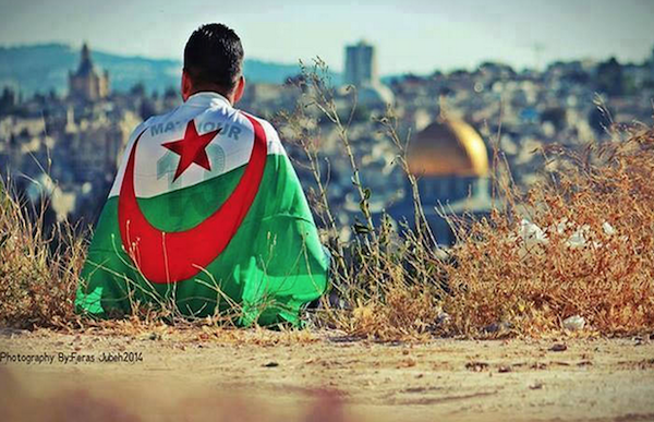palestine-gaza-algerie.png