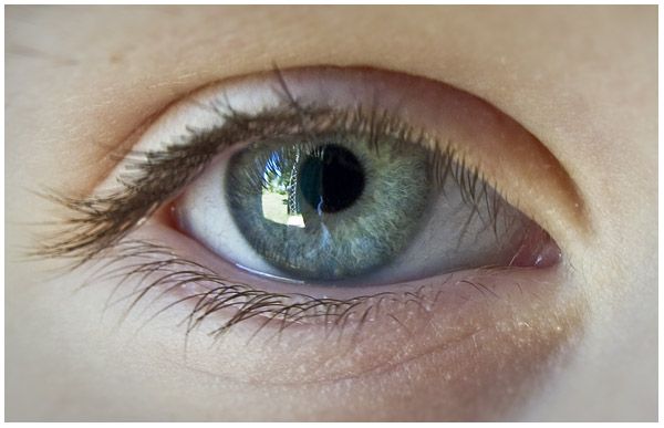 Ojo-001.jpg