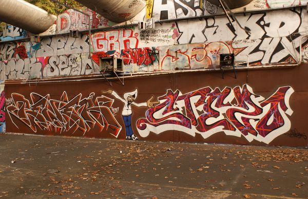 457 friche 91120 Palaiseau 21 novembre 2011