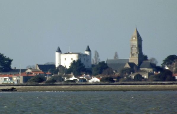 DSCF0224a.jpg