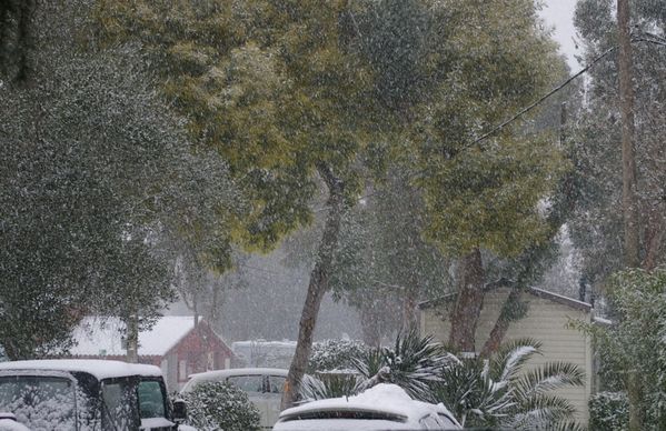 schnee6.jpg