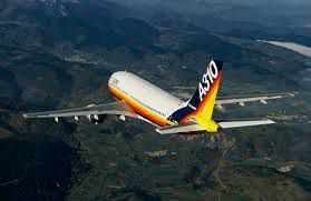 A 310