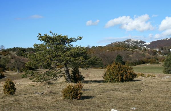 100326 Pas du Touet 028