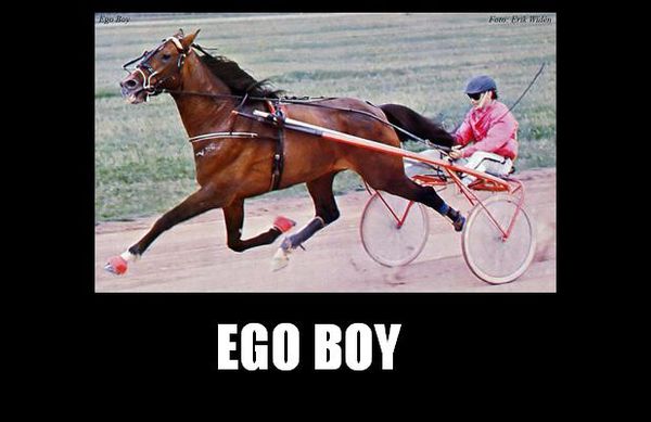 Ego-Boy-01-1-.jpg