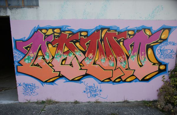 433 friche St Cyr l'Ecole 78210