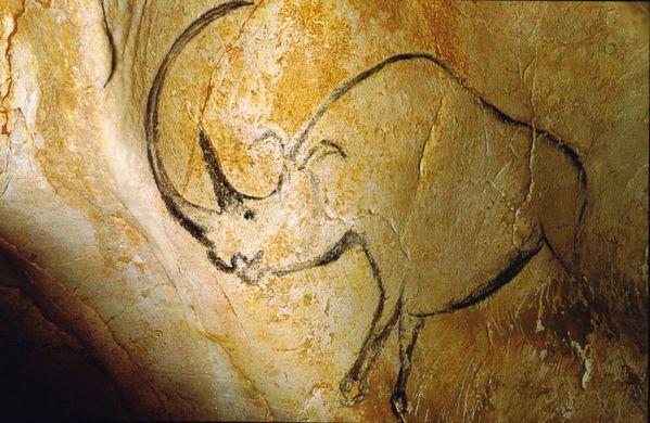La grotte des rêves perdus 1