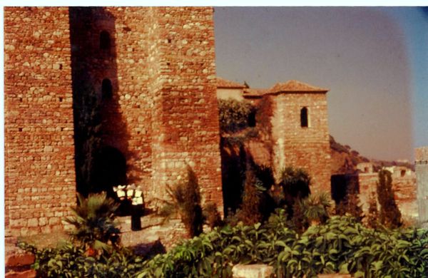 1-Top-003-copie-1.jpg