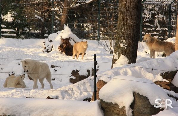 Januar-2010 2392