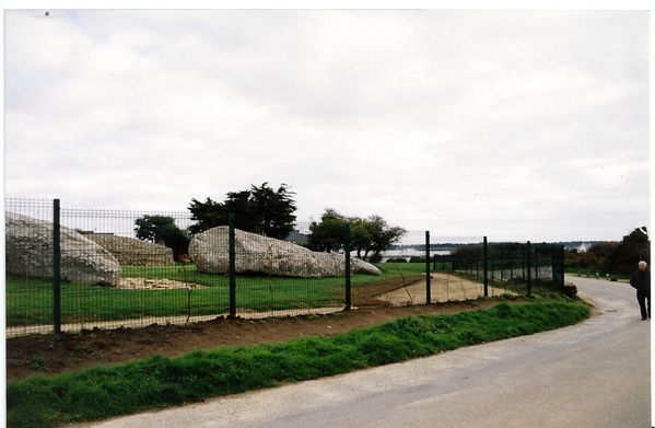 1-Top-copie-1.jpg