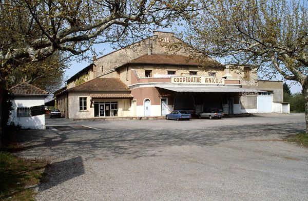 coope-Le-Thor-1.jpg