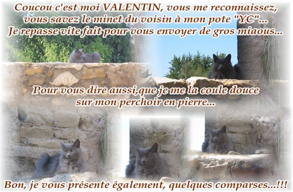 COUCOU C'EST MOI VALENTIN