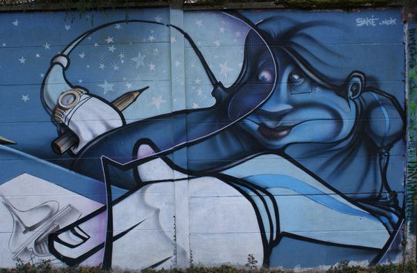 688 murs Draveil 91210