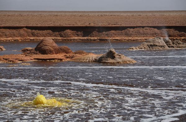 Dallol 02.2008 - M.Rietze