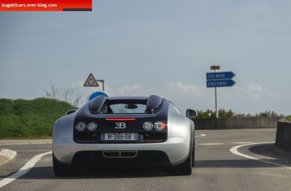Edouard 7365