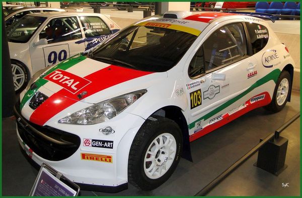 Expo Rallye Musée Peugeot 2014-19