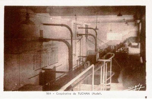 coope-Tuchan-00.jpg