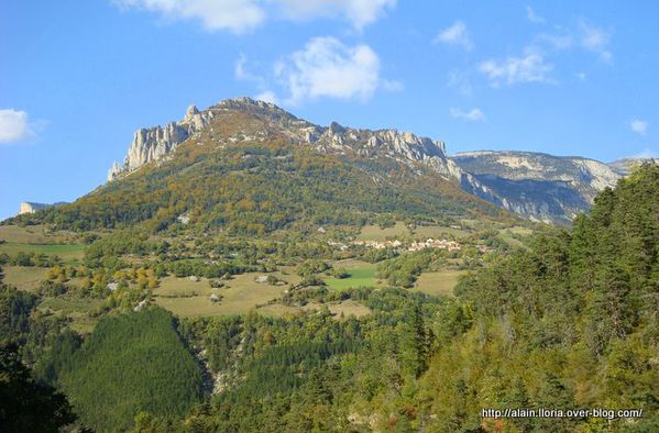 Bénévise sous les aiguilles