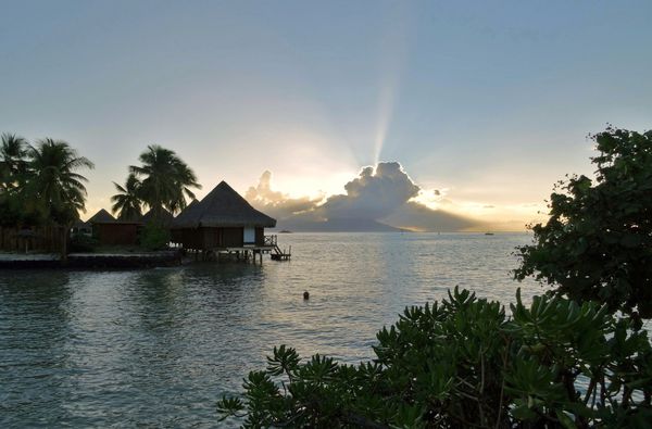 Papeete Intercontinental 2