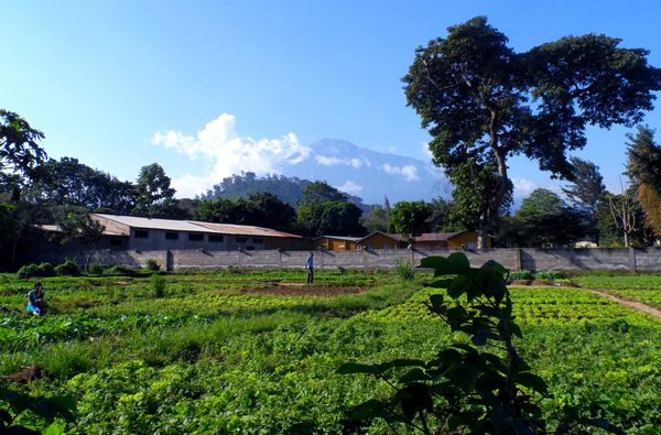 Mont Méru, Arusha