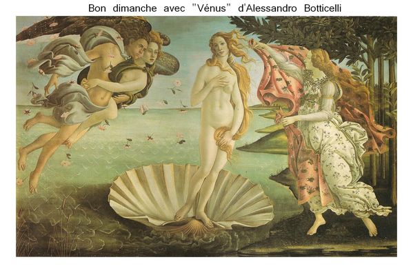 Bon-dimanche-02-10-2011-Venus-Alessandro-Botticelli.jpg