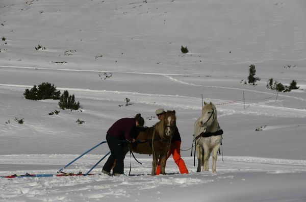 016 Du ski joering.