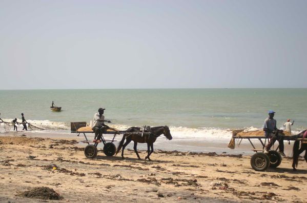 115-Encore-du-transport-de-sable-jpg