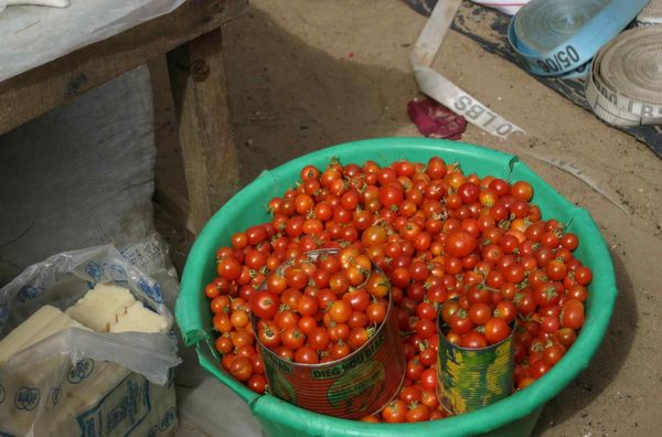474-Il-y-a-meme-des-tomates-cerises-jpg