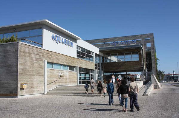 Aquarium-de-La-Rochelle-220-jpg
